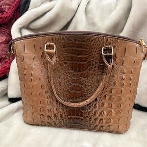 Luxurious Brown Crocodile like Embossed Bag